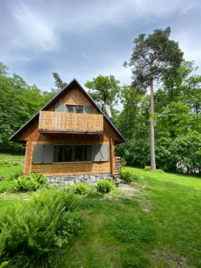 Wooden house in the nature, Modra